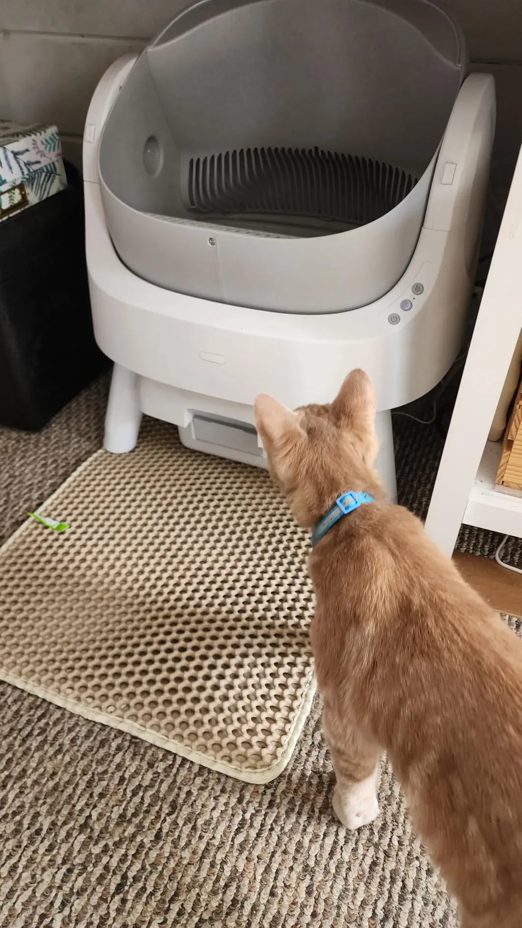 Automatic Cleaning